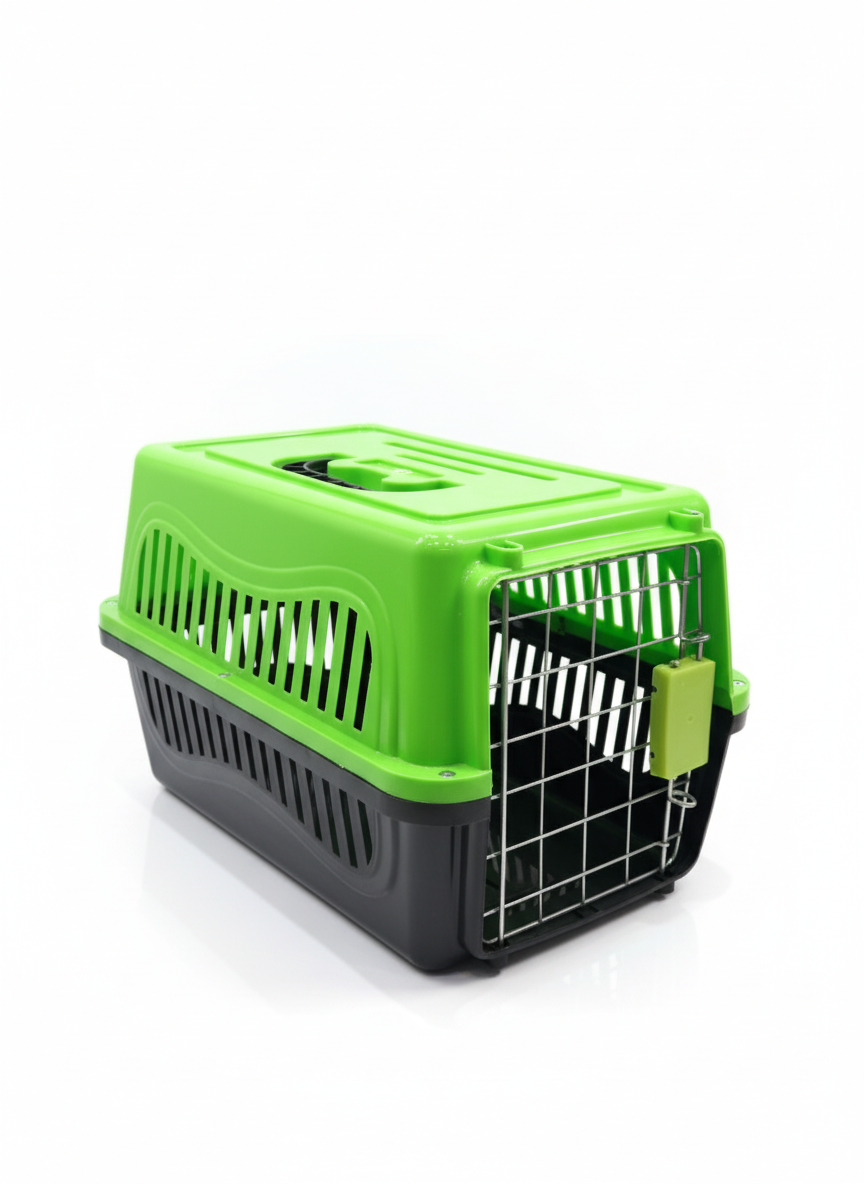 Travel Pet Box 38*25Cm Green