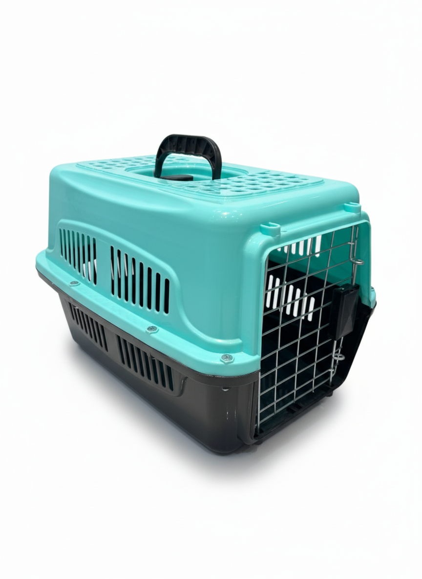 Travel Pet Box 45*28Cm Turquoise