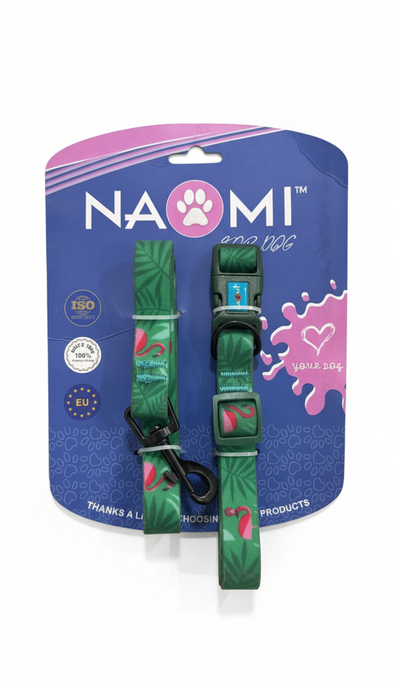 Naomi Collar & Leash Size M
