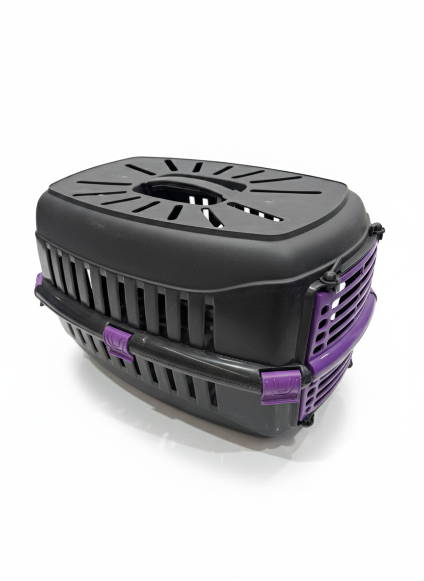 Joy CatBlack Box With Color Door