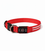 GERMPLASM DOG COLLAR SMALL GREEN