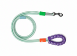 PET VOQUE LEASH 2* 1