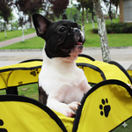 Pet Tent for Cats and Small Dogs yellow Small 73x73x43 cm