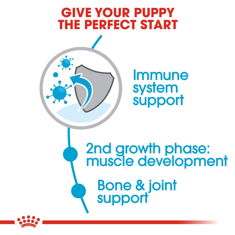 Royal Canin Giant X-Large Breed Junior Dog Food
