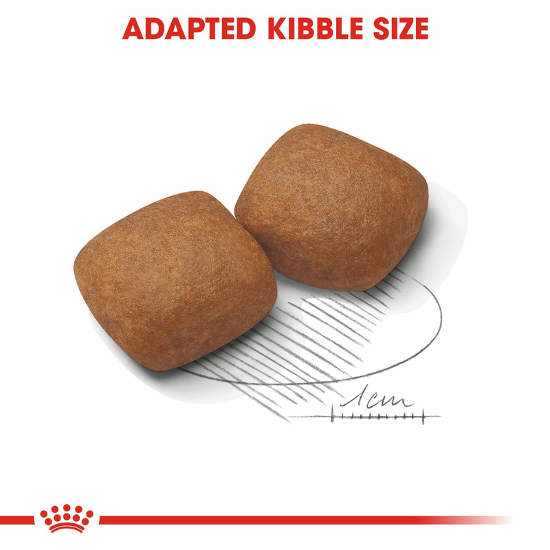 Royal Canin Giant X-Large Breed Junior Dog Food