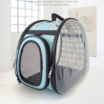 Pet Carrier Package for Cats and Small Dogs Blue