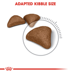 Royal Canin Hairball Care All Breeds Adult Cat Food