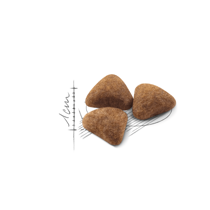 Royal Canin Indoor 27 All Breeds Adult Cat Food