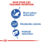 Royal Canin Indoor 27 All Breeds Adult Cat Food