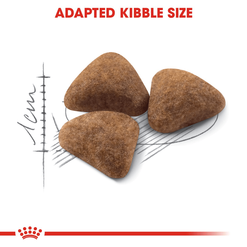 Royal Canin Indoor 27 All Breeds Adult Cat Food