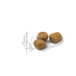 Royal Canin Indoor 7+ All Breeds Mature Cat Food