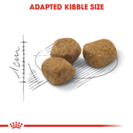 Royal Canin Indoor 7+ All Breeds Mature Cat Food
