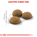 Royal Canin Indoor Long-Hair Adult Cat Food