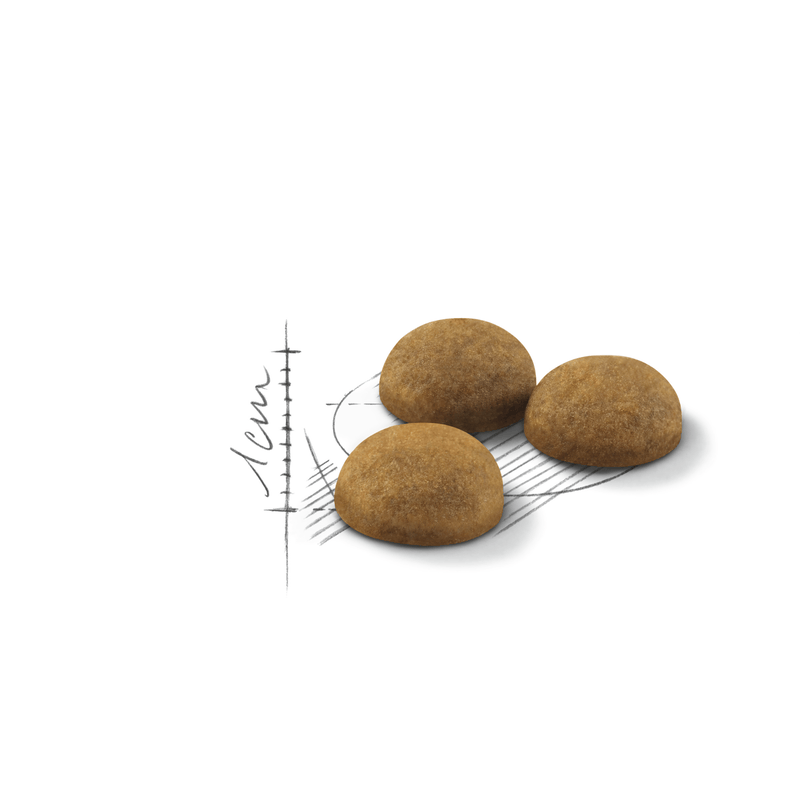 Royal Canin Indoor Long-Hair Adult Cat Food