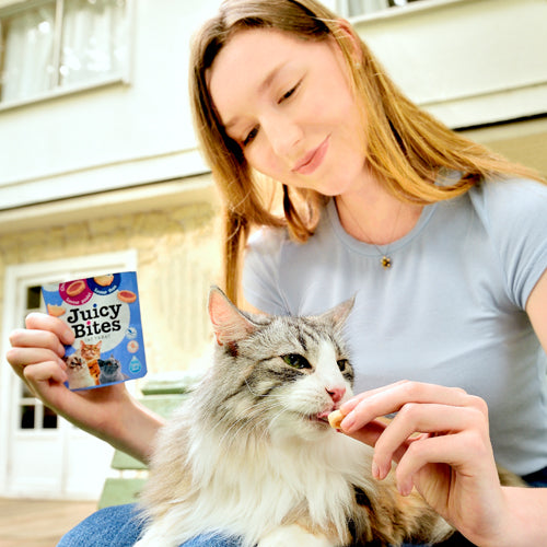 Juicy Bites Crab and Scallop Flavors For Cat 3 Packs.