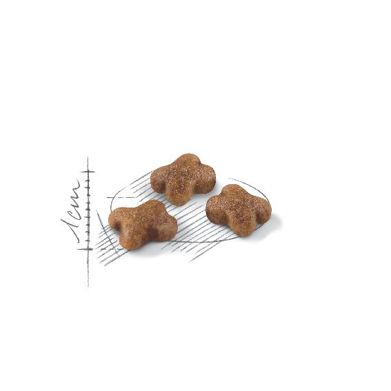 Royal Canin Kitten Second Age All Breeds Cat Food