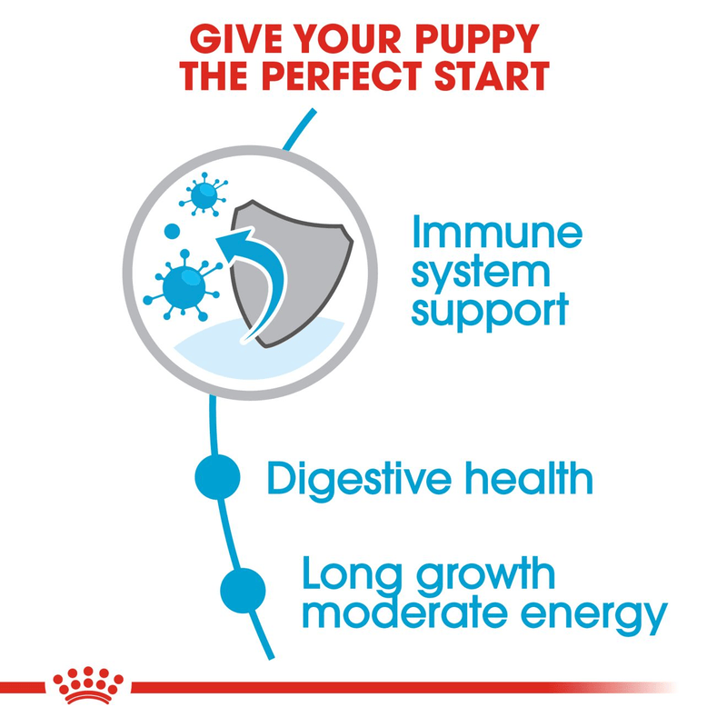 Royal Canin Maxi Large Breed Puppy Food