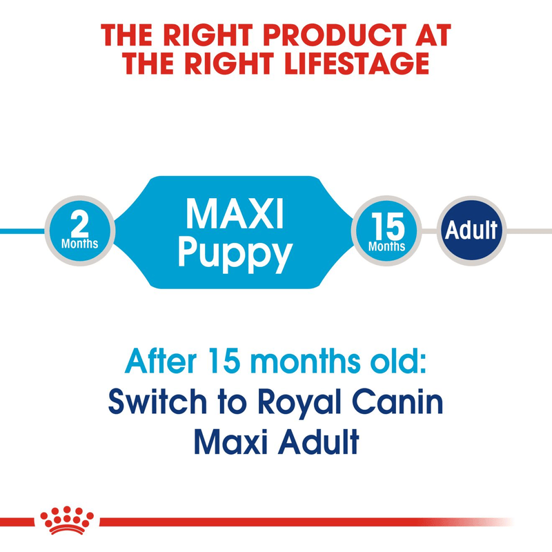 Royal Canin Maxi Large Breed Puppy Food