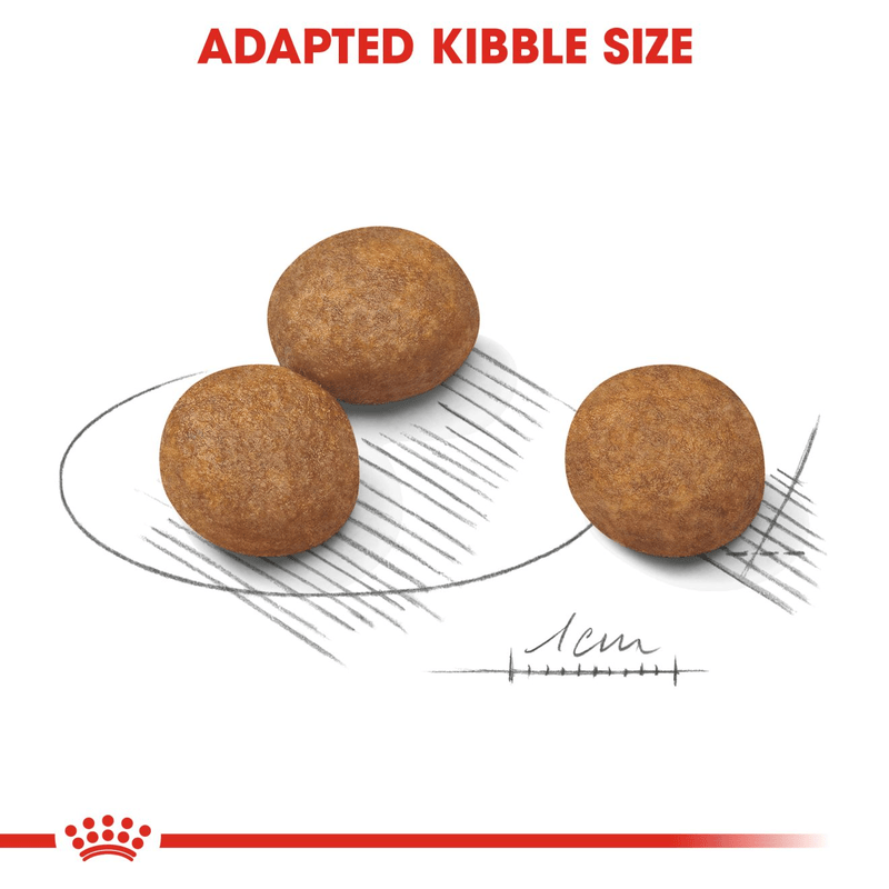 Royal Canin Maxi Large Breed Puppy Food