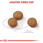 Royal Canin Maxi Large Breed Puppy Food