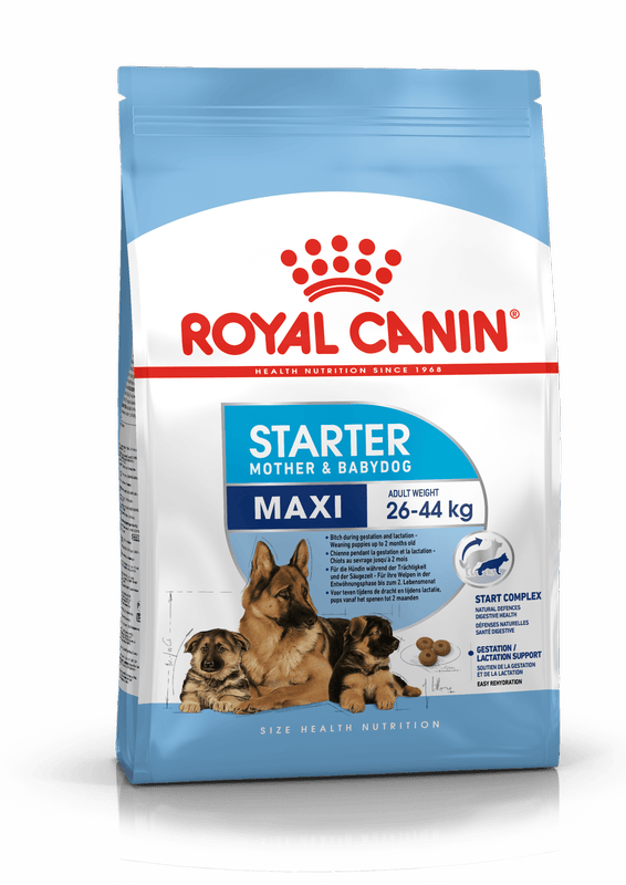 Royal Canin Maxi Starter Large Breed Mother & Babydog Food