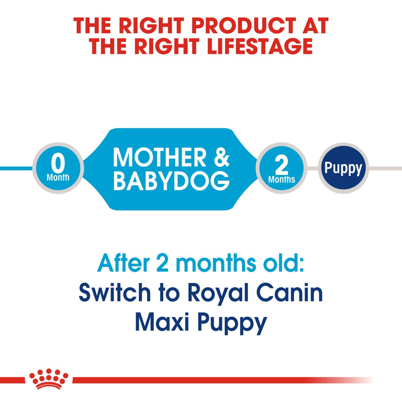Royal Canin Maxi Starter Large Breed Mother & Babydog Food