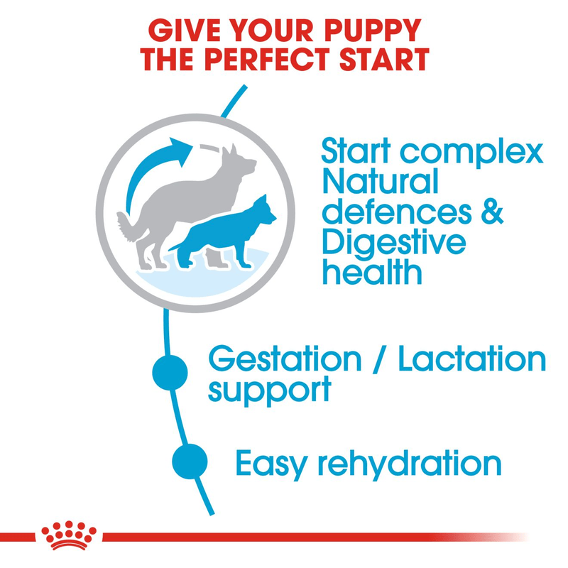 Royal Canin Maxi Starter Large Breed Mother & Babydog Food