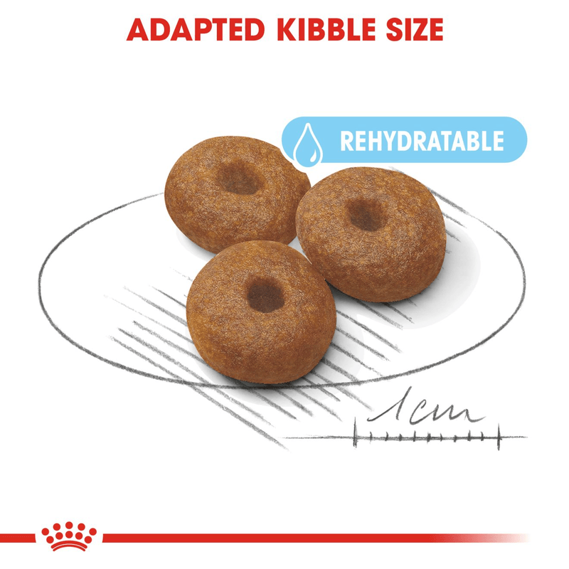 Royal Canin Maxi Starter Large Breed Mother & Babydog Food