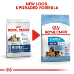 Royal Canin Maxi Starter Large Breed Mother & Babydog Food