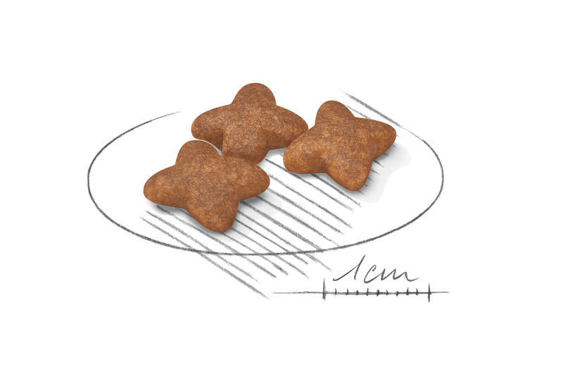 Royal Canin Mini Small Breed Adult Dog Food