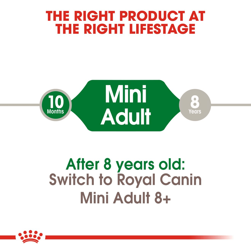 Royal Canin Mini Small Breed Adult Dog Food