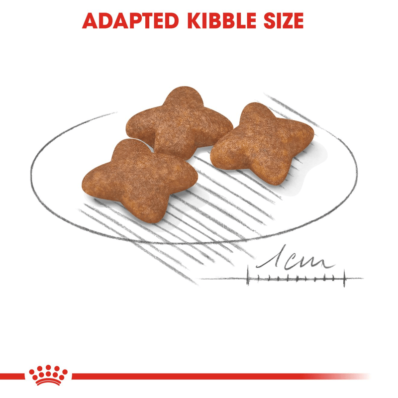 Royal Canin Mini Small Breed Adult Dog Food