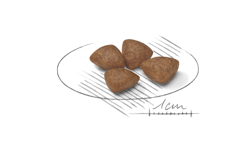 Royal Canin Mini Starter Small Breed Mother & Babydog Food