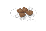 Royal Canin Mini Starter Small Breed Mother & Babydog Food