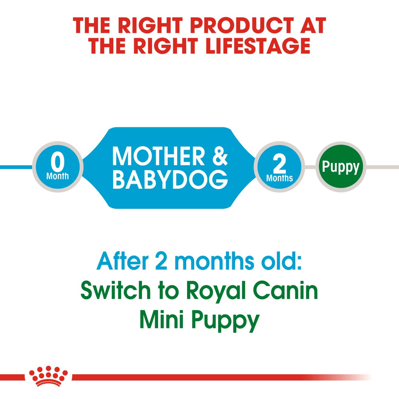 Royal Canin Mini Starter Small Breed Mother & Babydog Food