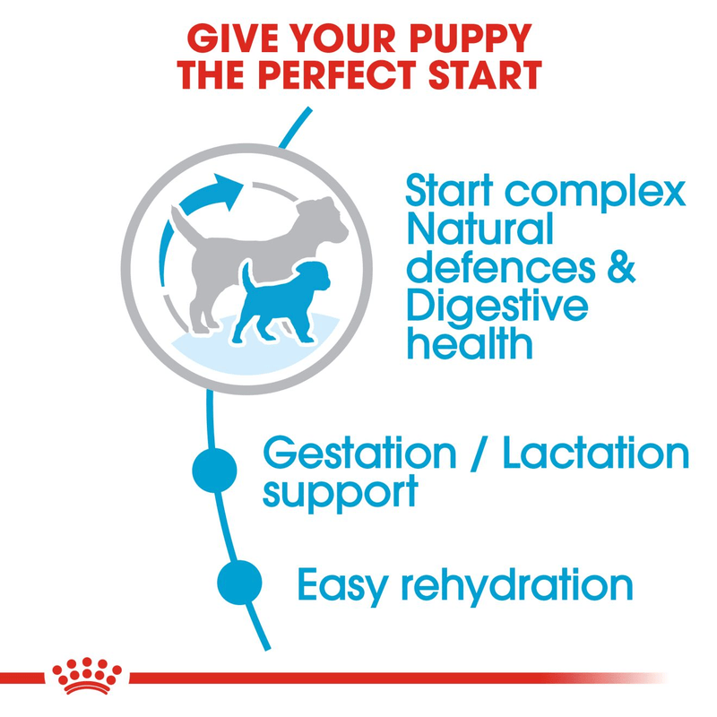 Royal Canin Mini Starter Small Breed Mother & Babydog Food