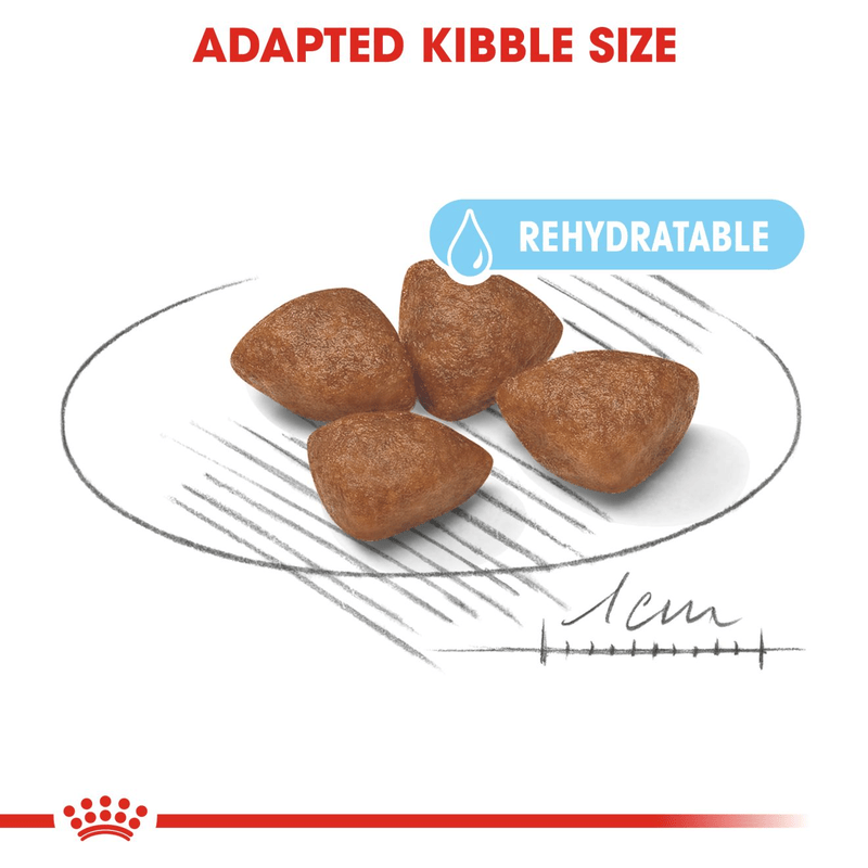 Royal Canin Mini Starter Small Breed Mother & Babydog Food