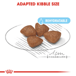 Royal Canin Mini Starter Small Breed Mother & Babydog Food