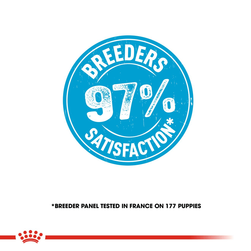 Royal Canin Mini Starter Small Breed Mother & Babydog Food