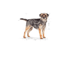 Royal Canin Mini Sterilised Small Breed Adult Dog Food