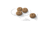Royal Canin Mini Sterilised Small Breed Adult Dog Food