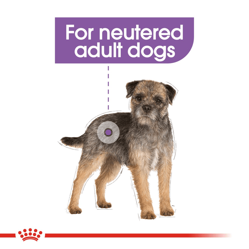 Royal Canin Mini Sterilised Small Breed Adult Dog Food