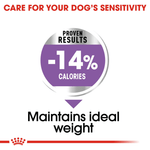 Royal Canin Mini Sterilised Small Breed Adult Dog Food