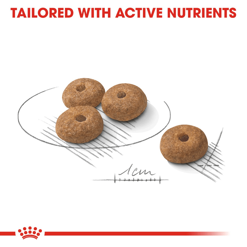 Royal Canin Mini Sterilised Small Breed Adult Dog Food