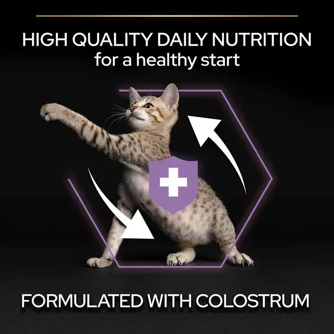Pro Plan Healthy Start Dry Food with Chicken for Kittens (Up to 1 Years) 1.5 kg