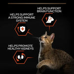 Pro Plan Vital Functions Dry Food with Salmon for Adult Cats1.5 kg