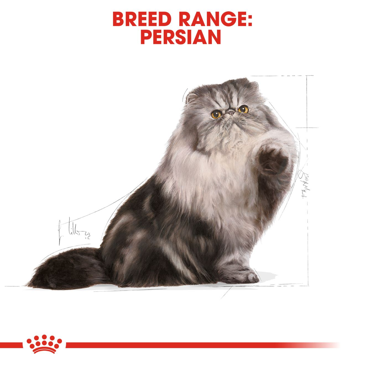 Royal Canin Persian Adult Cat Food