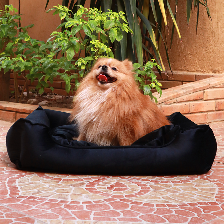 Petmoda Velvet Bed Small 50*40 - Black
