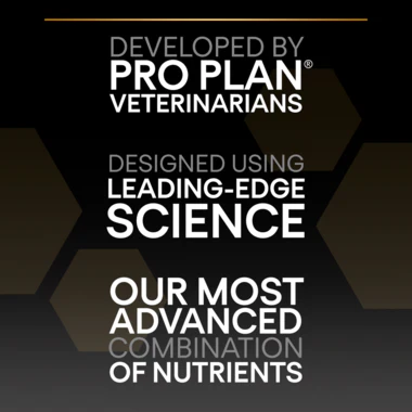 Pro Plan Everyday Nutrition Dry Food with Chicken for Large Athletic Adult Dogs 14 kg