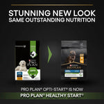 Pro Plan Large Robust Puppy Chicken 3kg